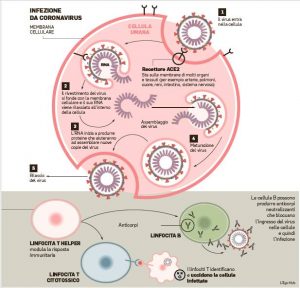 Infezione da Coronavirus